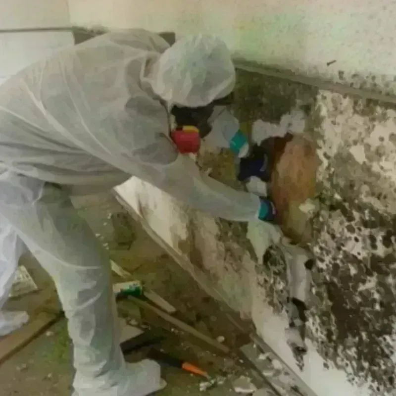 Mold Remediation and Removal in Woods County, OK