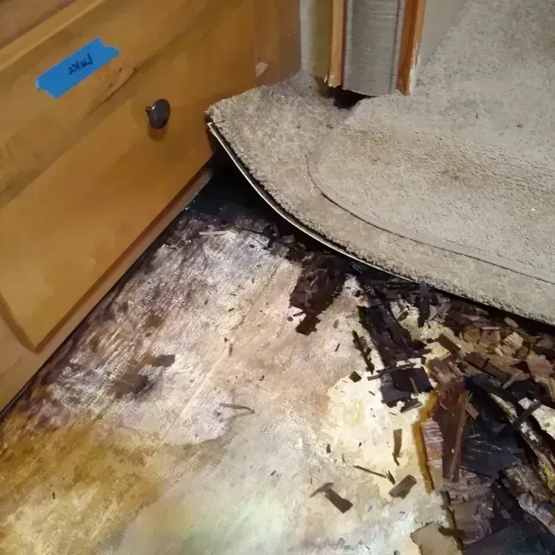 Wood Floor Water Damage in Woods County, OK